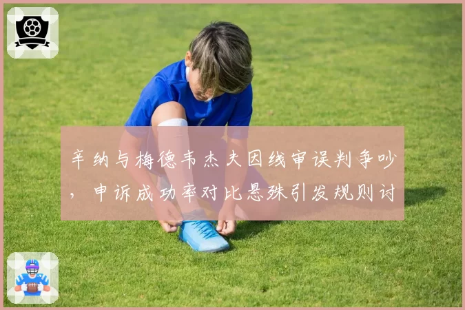 辛纳与梅德韦杰夫因线审误判争吵,申诉成功率对比悬殊引发规则讨论