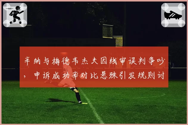 辛纳与梅德韦杰夫因线审误判争吵，申诉成功率对比悬殊引发规则讨论