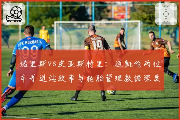 诺里斯vs皮亚斯特里:迈凯伦两位车手进站效率与轮胎管理数据深度剖析